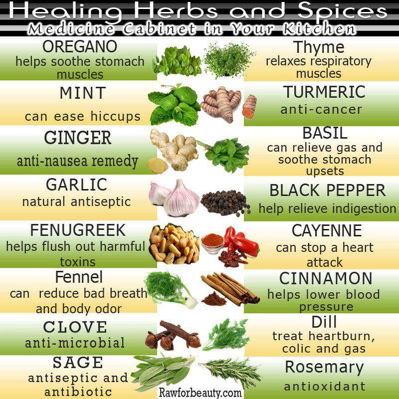 10-healing-herbs-with-medicinal-benefits